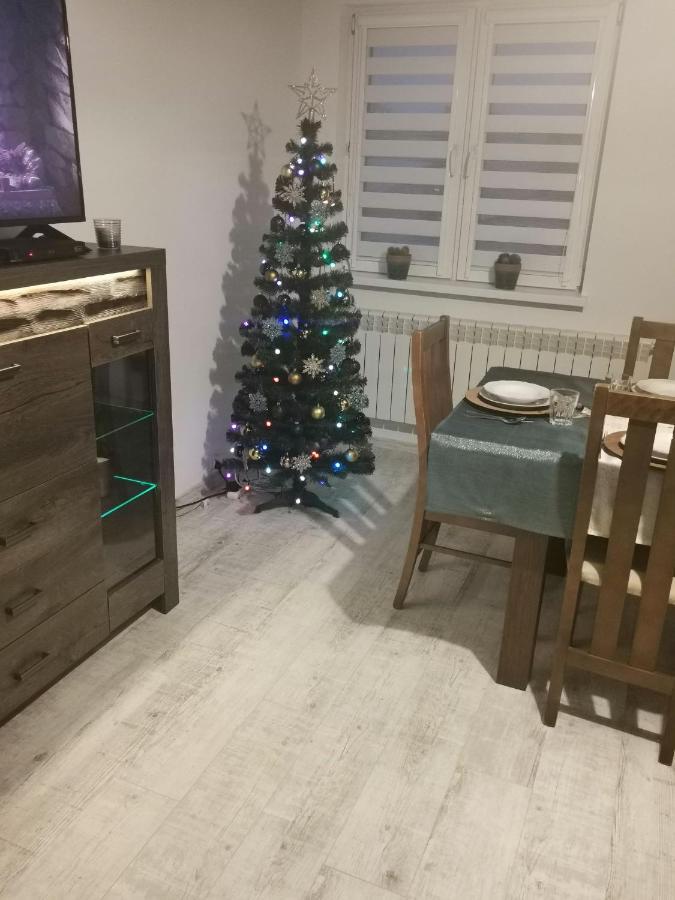 Apartament Krystyna II تيلسز المظهر الخارجي الصورة